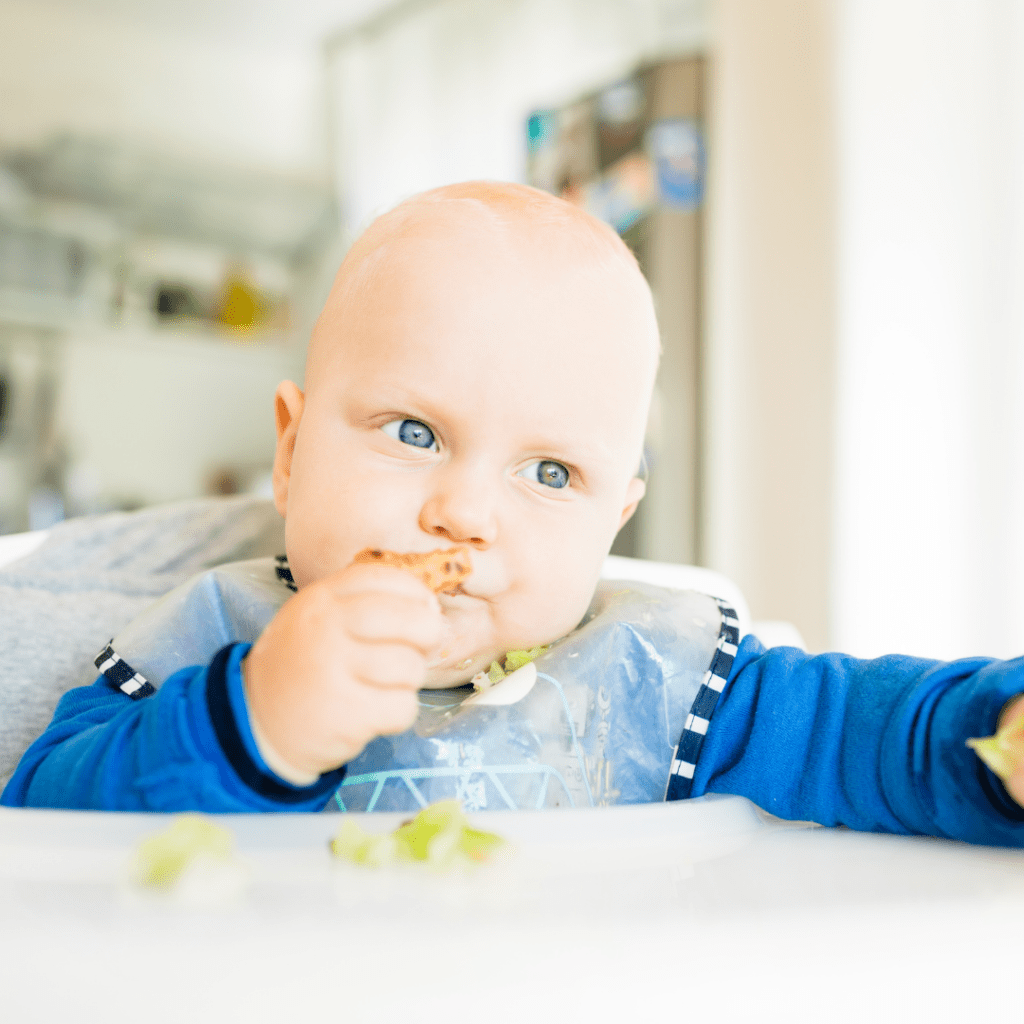 Main image for the article [What is Baby Led Feeding?]. Pictured is a baby eating finger foods in their highchair.