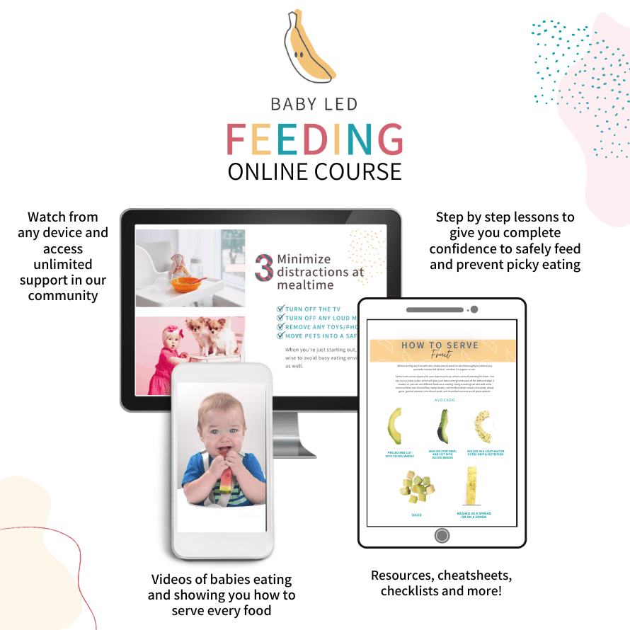 baby led feeding online course