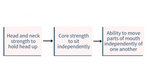 skill development required for starting solid foods