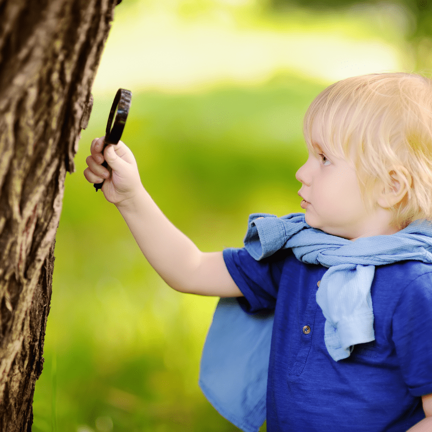 picky eater toddler ideas to explore food