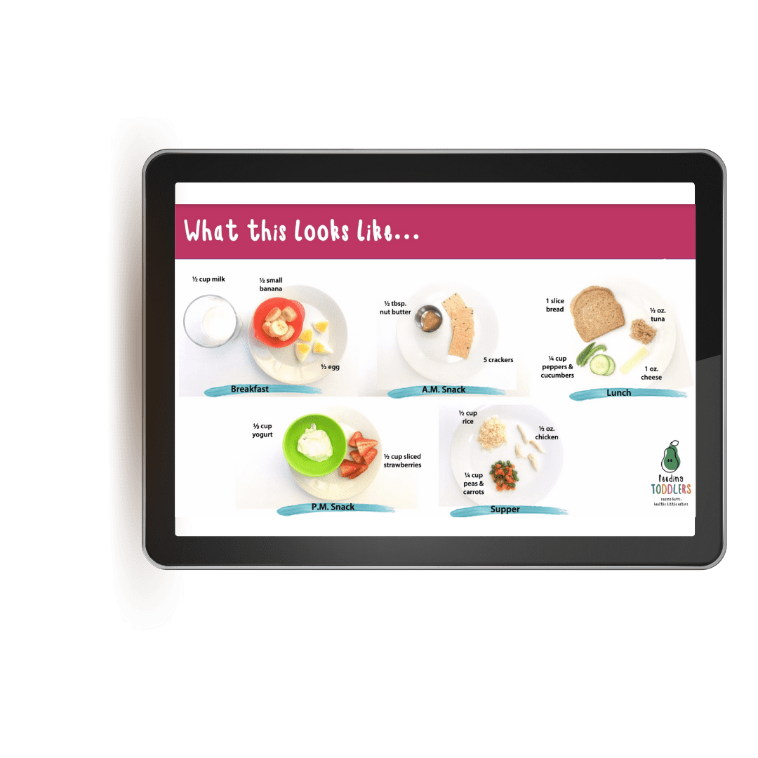 Feeding Toddlers online course lesson on what to feed toddlers for meals