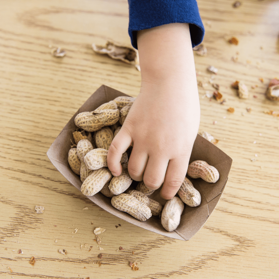 Featured image for article: "Top Tips for safely serving peanuts to babies and toddlers". Pictured is a child's hand reaching for some peanuts.