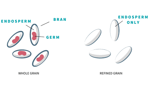 whole grains vs refined grains