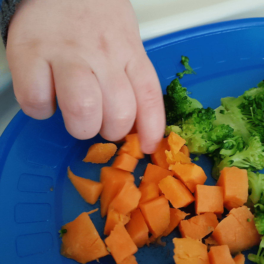 Toddler friendly snacks