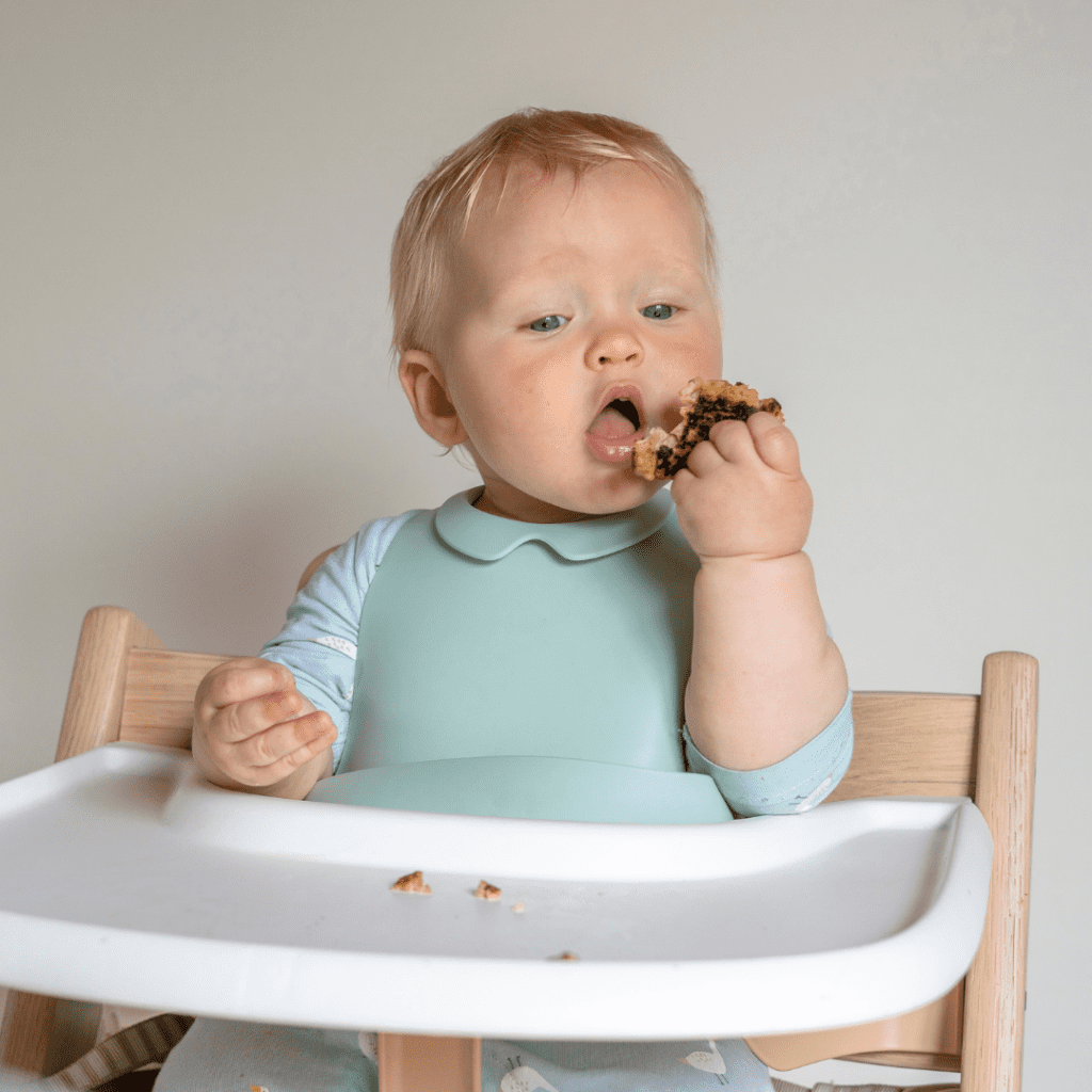 food before one is not just for fun; baby led weaning 6 months plus