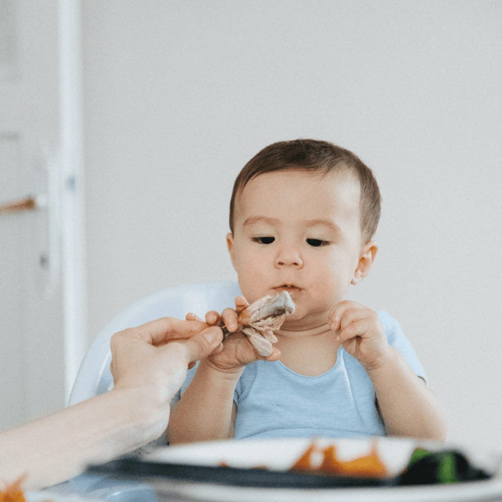 baby not interested in eating solids