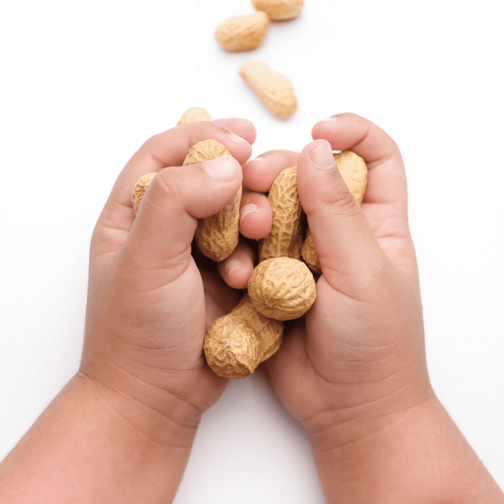 how often to feed baby new foods